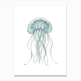 Jellyfish 8 Canvas Print