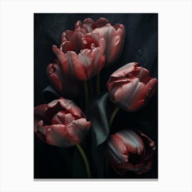 Red Tulips 5 Canvas Print