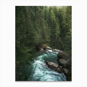A Pacific Northwest Forest River Canvas Print