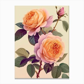 English Roses Painting Rose With Leaves 1 Canvas Print