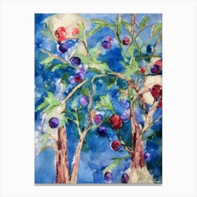 Elderberry 1 Classic Fruit Canvas Print