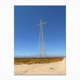 Antelope Valley Canvas Print