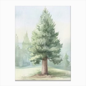 Redwood Tree Atmospheric Watercolour Painting 2 Canvas Print