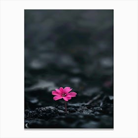 Pink Flower In Water 3 Canvas Print