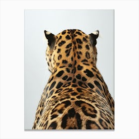 Leopard'S Back Canvas Print