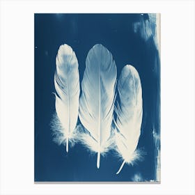 Tres Feathers Canvas Print