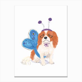 King Charles Butterfly Canvas Print