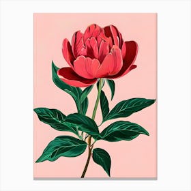 Peony Canvas Print Canvas Print