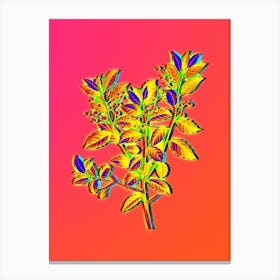 Neon Evergreen Oak Botanical in Hot Pink and Electric Blue n.0305 Canvas Print
