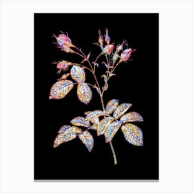 Stained Glass Evrat's Rose with Crimson Buds Mosaic Botanical Illustration on Black Canvas Print