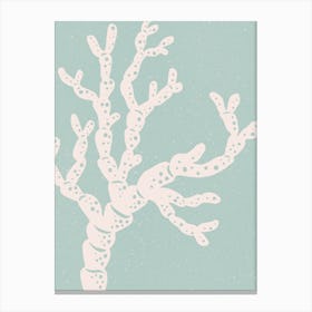 Coral Tree Canvas Print