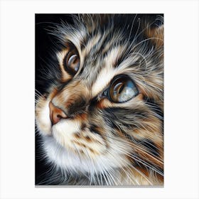 Cat Portrait Canvas Print