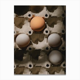 Eggs In A Carton 1 Canvas Print