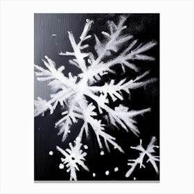 Ice, Snowflakes, Black & White 5 Canvas Print