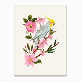 Parakeet Cream Canvas Print