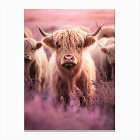 Luscious Pink Grass With Highland Cows Canvas Print