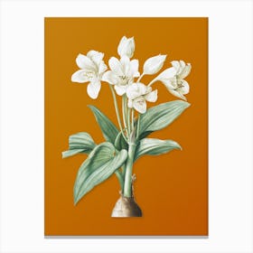 Vintage Crinum Giganteum Botanical on Sunset Orange n.0368 Canvas Print