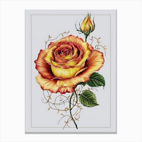 Rose 5 Canvas Print