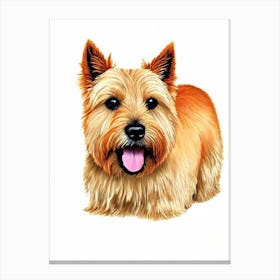 Norwich Terrier Illustration dog Canvas Print