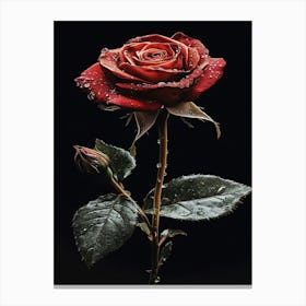 Rose In The Rain Canvas Print