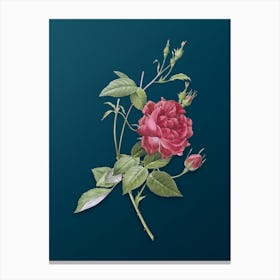 Vintage Blood Red Bengal Rose Botanical Art on Teal Blue n.0107 Canvas Print