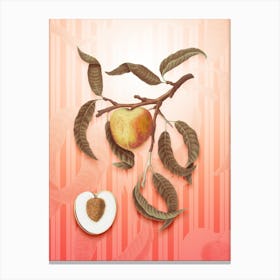 Peach Vintage Botanical in Peach Fuzz Awning Stripes Pattern n.0143 Canvas Print