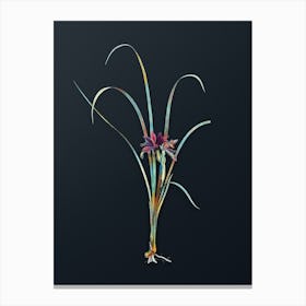 Vintage Grass Leaved Iris Botanical Watercolor Illustration on Dark Teal Blue Canvas Print