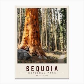 Sequoia Minimalist Travel Poster Canvas Print