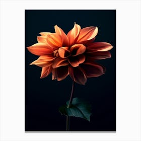 Dahlia 17 Canvas Print