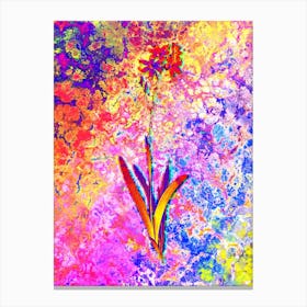 Corn Lily Botanical in Acid Neon Pink Green and Blue n.0014 Canvas Print