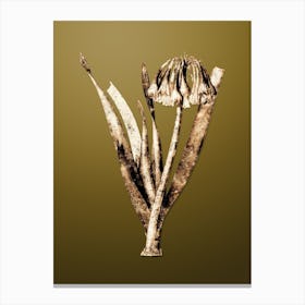 Gold Botanical Knysna Lily on Dune Yellow n.4704 Canvas Print