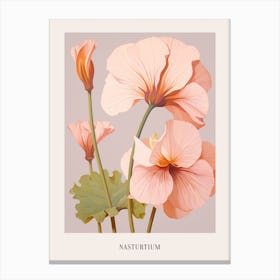 Floral Illustration Nasturtium 3 Poster Canvas Print