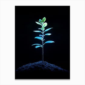 Tree Growing In The Dark 3 Canvas Print