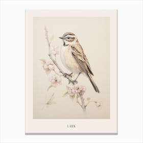 Vintage Bird Drawing Lark 1 Poster Canvas Print