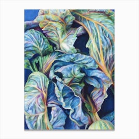 Cabbage Classic vegetable Canvas Print