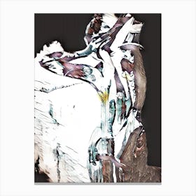 Abstract Of A Nude Woman Canvas Print