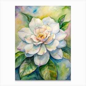 White Magnolia 1 Canvas Print