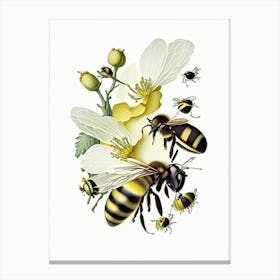 Pollination Bees 4 Vintage Canvas Print
