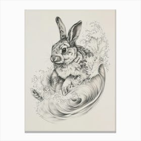 Florida White Rabbit Drawing 4 Canvas Print