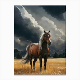 Horse In The Field 4 Canvas Print