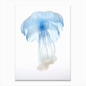 Lions Mane Jellyfish Watercolour 5 Canvas Print