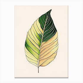 Banana Leaf Warm Tones Canvas Print