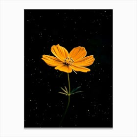 Flower On A Black Background 9 Canvas Print