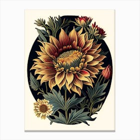 Gazania 1 Floral Botanical Vintage Poster Flower Canvas Print
