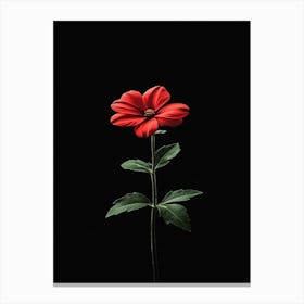 Red Flower On Black Background 2 Canvas Print