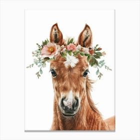 Flower Crown Foal Canvas Print