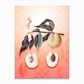 Peach Vintage Botanical in Peach Fuzz Tartan Plaid Pattern n.0047 Canvas Print