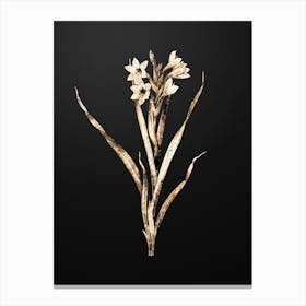 Gold Botanical Sword Lily on Wrought Iron Black n.0447 Canvas Print