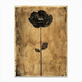 Black Poppy Canvas Print Canvas Print