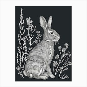 Argente Rabbit Minimalist Illustration 3 Canvas Print